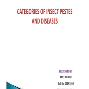 AENT-5311( Assignment).pdf