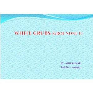 AENT-5312 ( Assignment).pdf