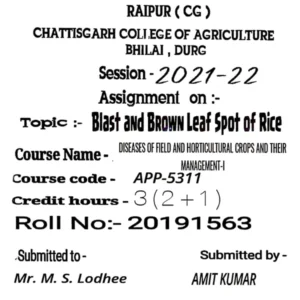 APP-5311 (Assignment.pdf