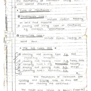 HAND WRITTEN ANSWER SHEET.pdf