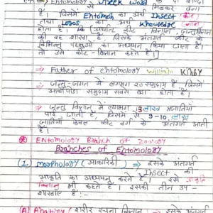 HANDWRITTEN-2 Entomo.pdf