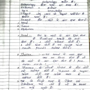 HANDWRITTEN-3 AENT 5111-2.pdf