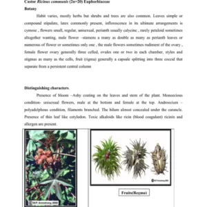 LEC. - 10 Oil Seeds.pdf