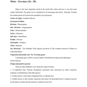 LEC. - 7 Maize - Zea mays (2n - 20).pdf