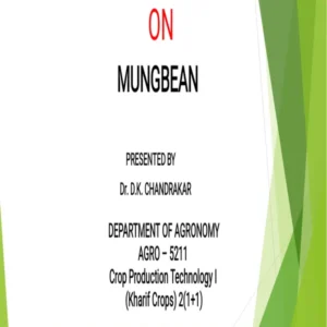 PPT - 12 Mung bean.pdf