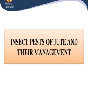 PPT-13 INSECTS& PESTS OF JUTE.pdf