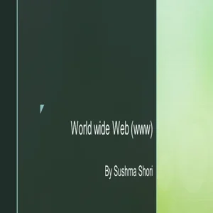 PPT - 17 World wide Web (www).pdf