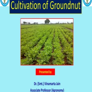 PPT - 8 Cultivation of Groundnut.pdf