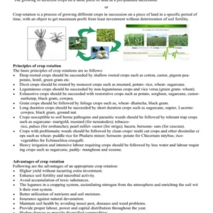 (Short notes-8) C. rotation.pdf