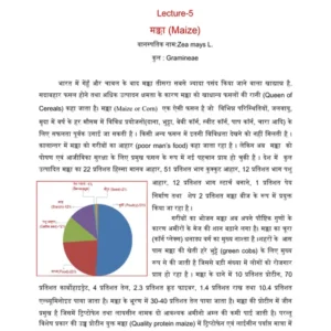 TYPED - 15 maize.PDF
