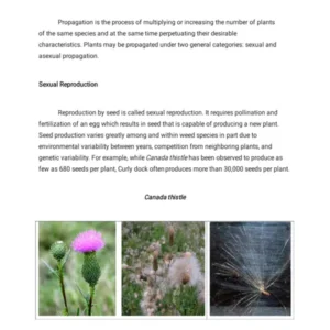 TYPED - 16 PROPAGATION AND DISSEMINATION OF WEED SEEDS.pdf