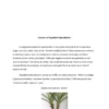 TYPED - 16 PROPAGATION AND DISSEMINATION OF WEED SEEDS.pdf - Image 2