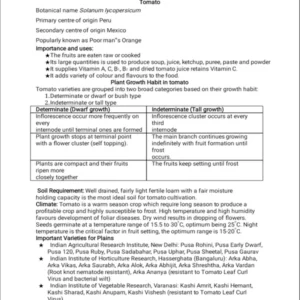 TYPED - 26 production technology.pdf
