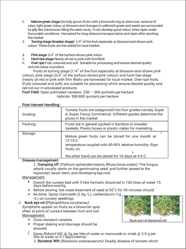 TYPED - 26 production technology.pdf - Image 4