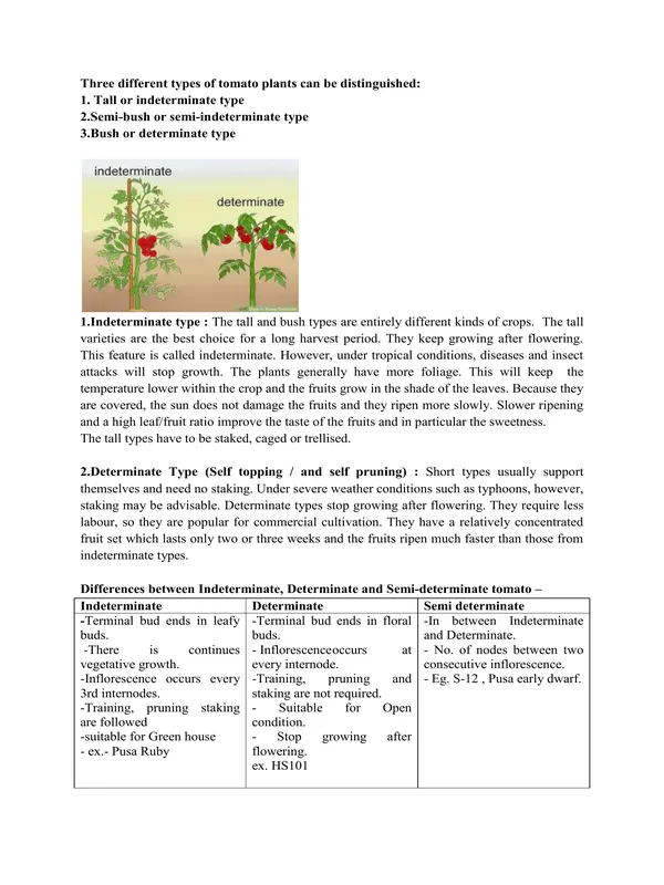 TYPED - 27 Production technology.pdf - Image 2