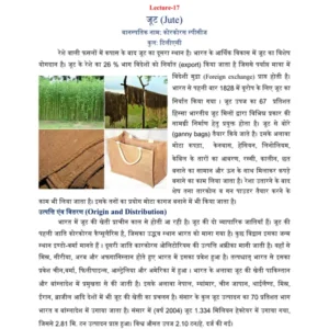 TYPED - 8 Jute.PDF