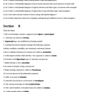 TYPED ENTO OBJECTIVE.pdf