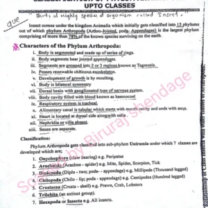 TYPED ENTO_121_BS CLASSIFICATION.pdf