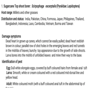 TYPED NOTES -10  CASH CROPS.pdf
