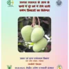 TYPED NOTES -8  ICU.pdf