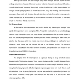 TYPED lec06 METAMORPHOSIS AND DIAPAUSE IN INSECTS.pdf