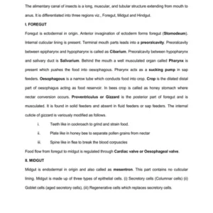 TYPED lec08STRUCTURE AND FUNCTIONS OF DIGESTIVE SYSTEM.pdf