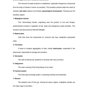 TYPED lec10 STRUCTURE AND FUNCTIONS OF EXCRETORY SYSTEM.pdf