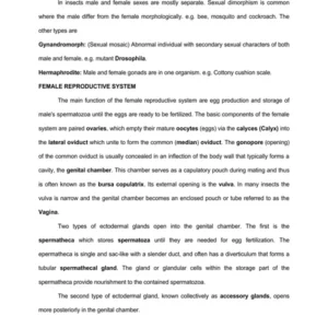 TYPED lec13 REPRODUCTIVE SYSTEM.pdf