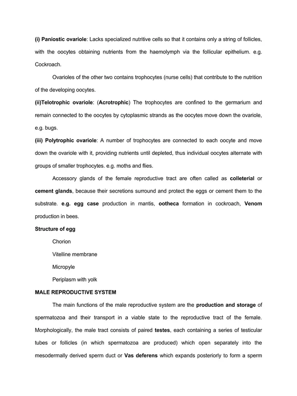 TYPED lec13 REPRODUCTIVE SYSTEM.pdf - Image 3