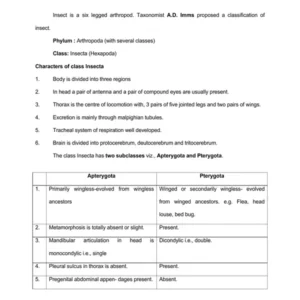 TYPED lec16 CLASSIFICATION OF CLASS INSECTA UPTO ORDERS.pdf