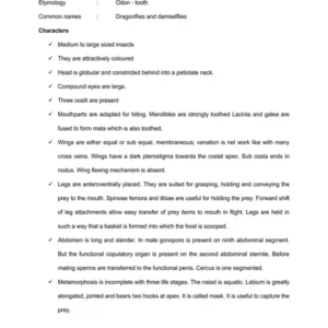 TYPED lec19 ODONATA.pdf