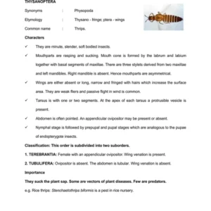 TYPED lec21 THYSANOPTERA-THRIPIDAE.pdf