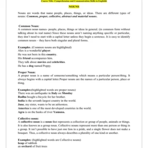 TYPEDNOTES - 11 NOUNS.pdf